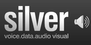 Guy Fagan Digital Consultancy client Silver Audio Visual Voice & Data Logo